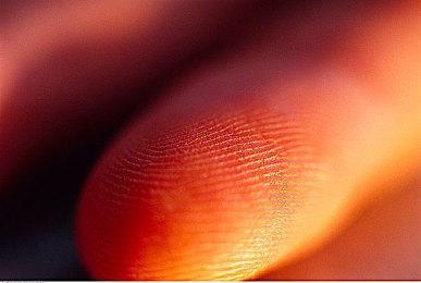 餐厅经营模拟《收获咖啡馆》Steam页面 支持简中